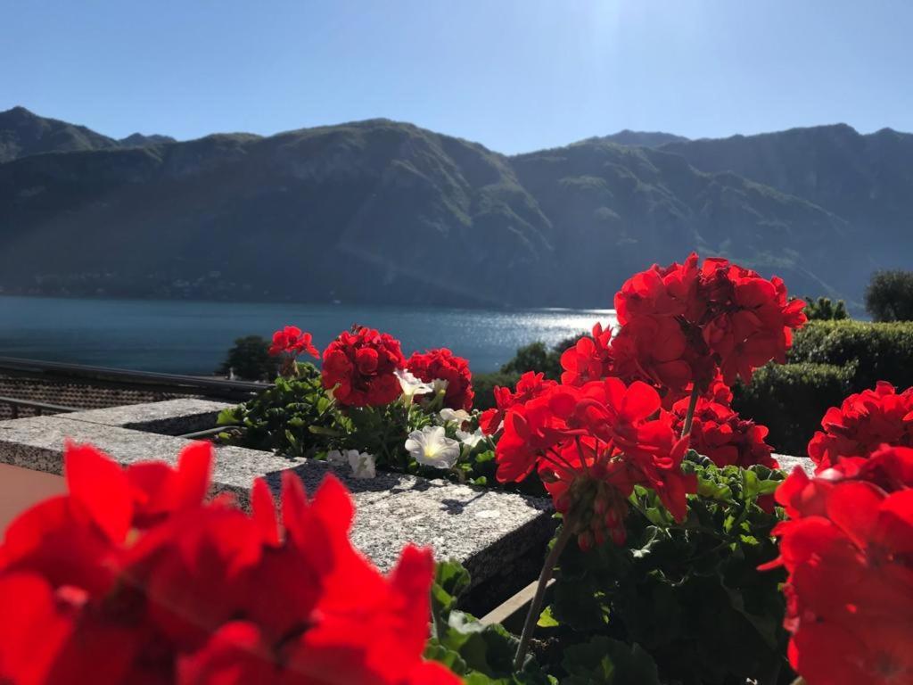 Angelina'S House With Lake View - ベッラージョ エクステリア 写真